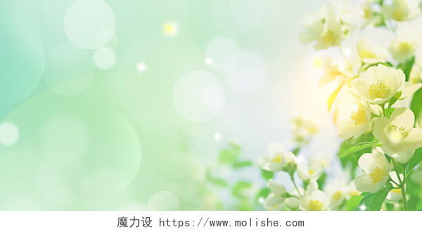 绿色清新花朵阳光光晕展板背景夏天夏季七月展板背景